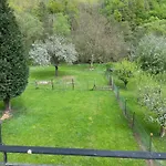 Alfbach 度假居