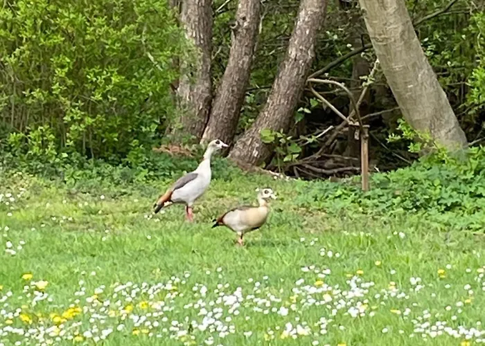 Alfbach Casa de Férias